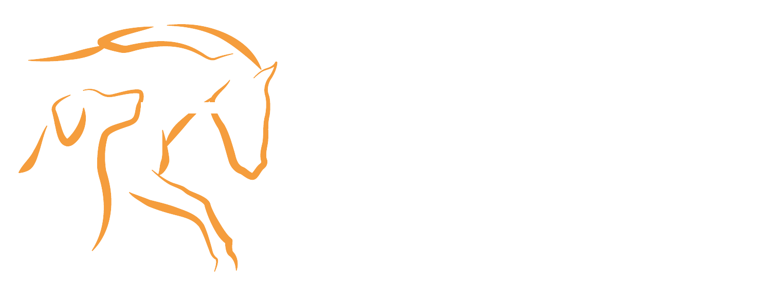 Stilisiertes Logo von Andra Voss mit einer in Orange skizzierten Pferdeillustration über dem Namen "Andra Voss" in dunkelblauer Schrift, gefolgt vom Untertitel "Tierphysiotherapie" in einer kleineren Schriftgröße.