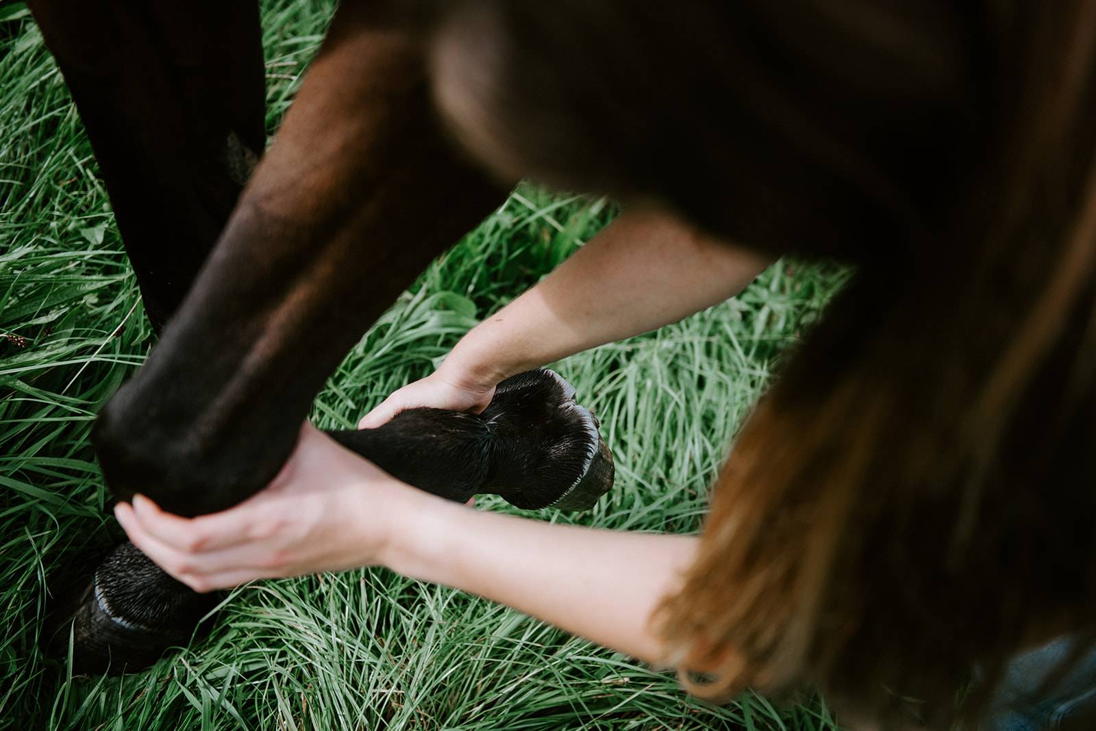 Andra Voss, renommierte Tiertherapeutin, zeigt ihre enge Bindung und ihr tiefes Verständnis für Tiere. Hier ist sie mit einem prachtvollen Pferd auf einer blühenden Wiese abgebildet, was ihre Hingabe und Expertise in der Tiertherapie unterstreicht.